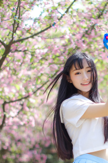 大侦探波罗